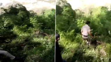 Himachal Pradesh Landslide: One Woman Dead, 4 Injured After Landslide in Runpu Village of Rampur; Watch Video